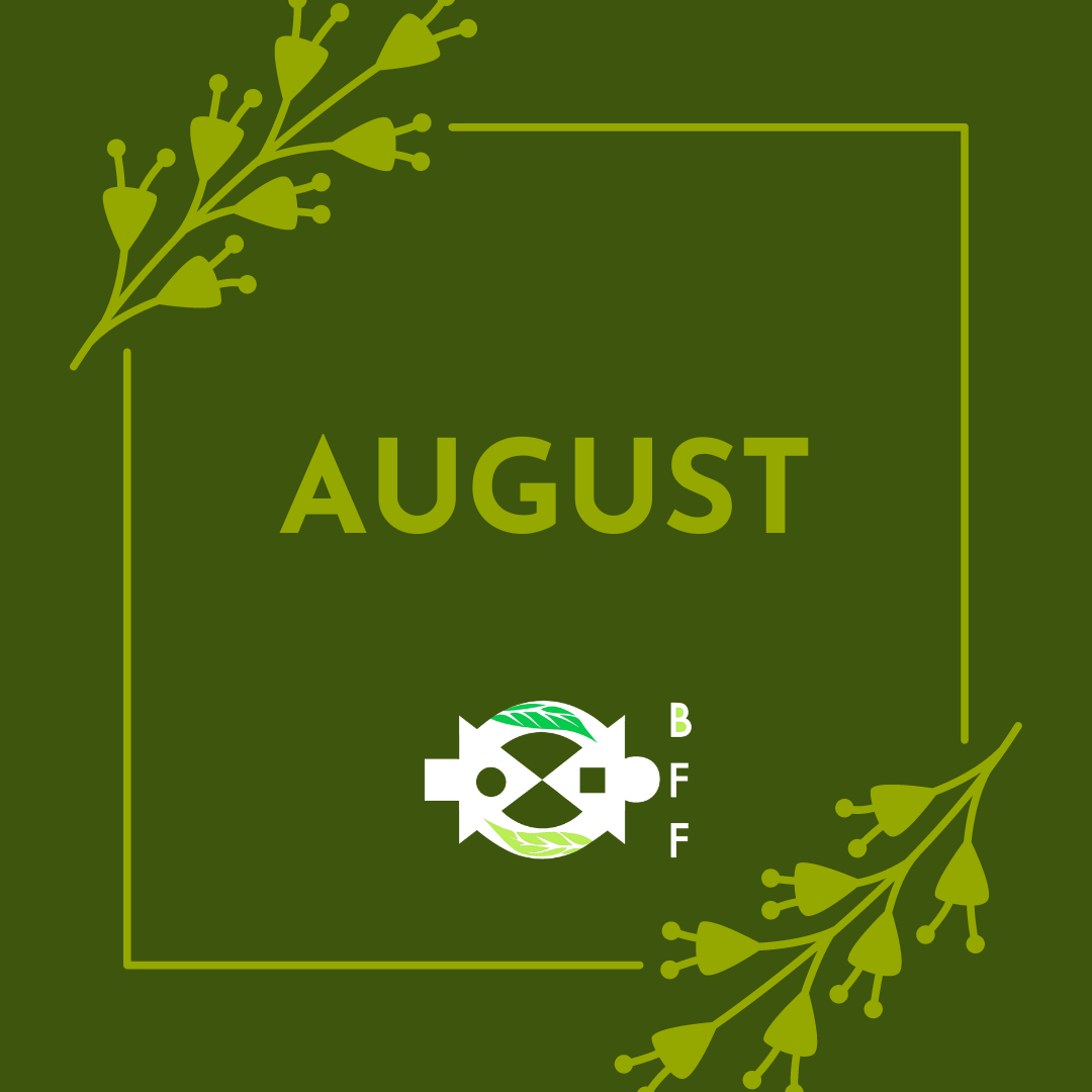 August 2024 Newsletter