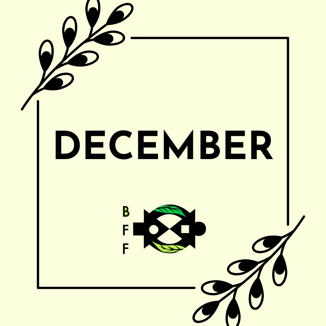 December 2024 Newsletter