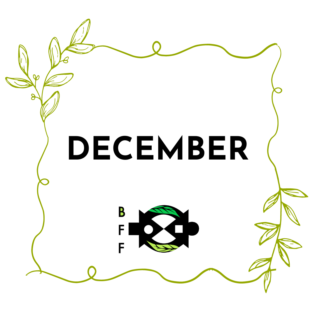 December 2022 Newsletter
