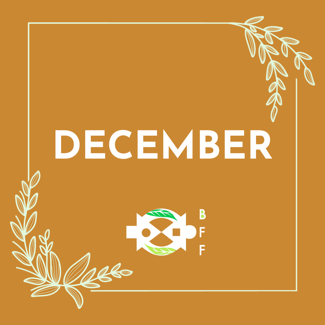 December 2023 Newsletter