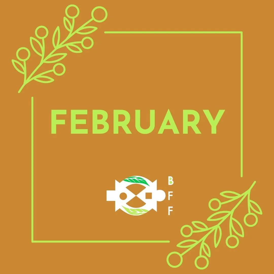 February 2026 Newsletter 