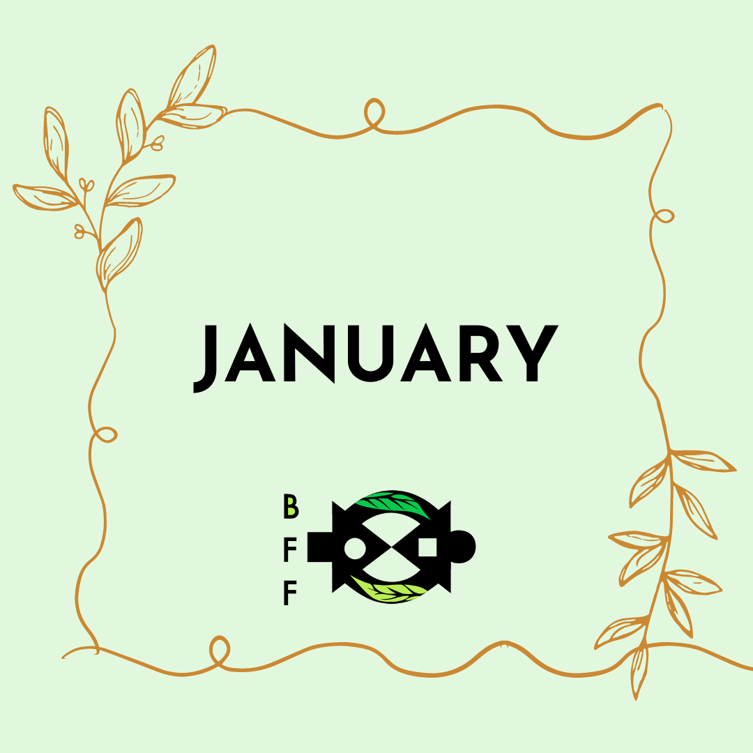 January 2023 Newsletter