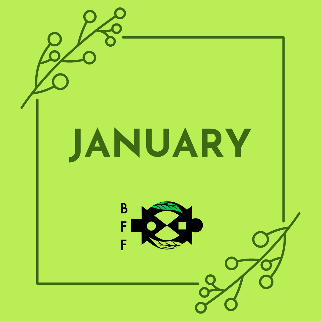 January 2024 Newsletter