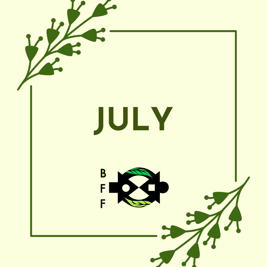 July 2024 Newsletter