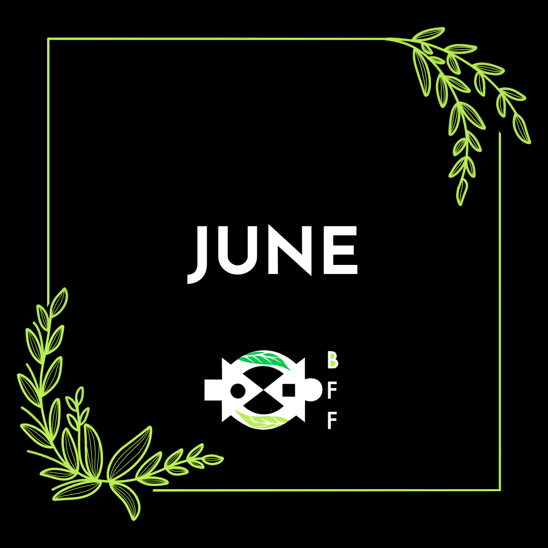 June 2023 Newsletter 