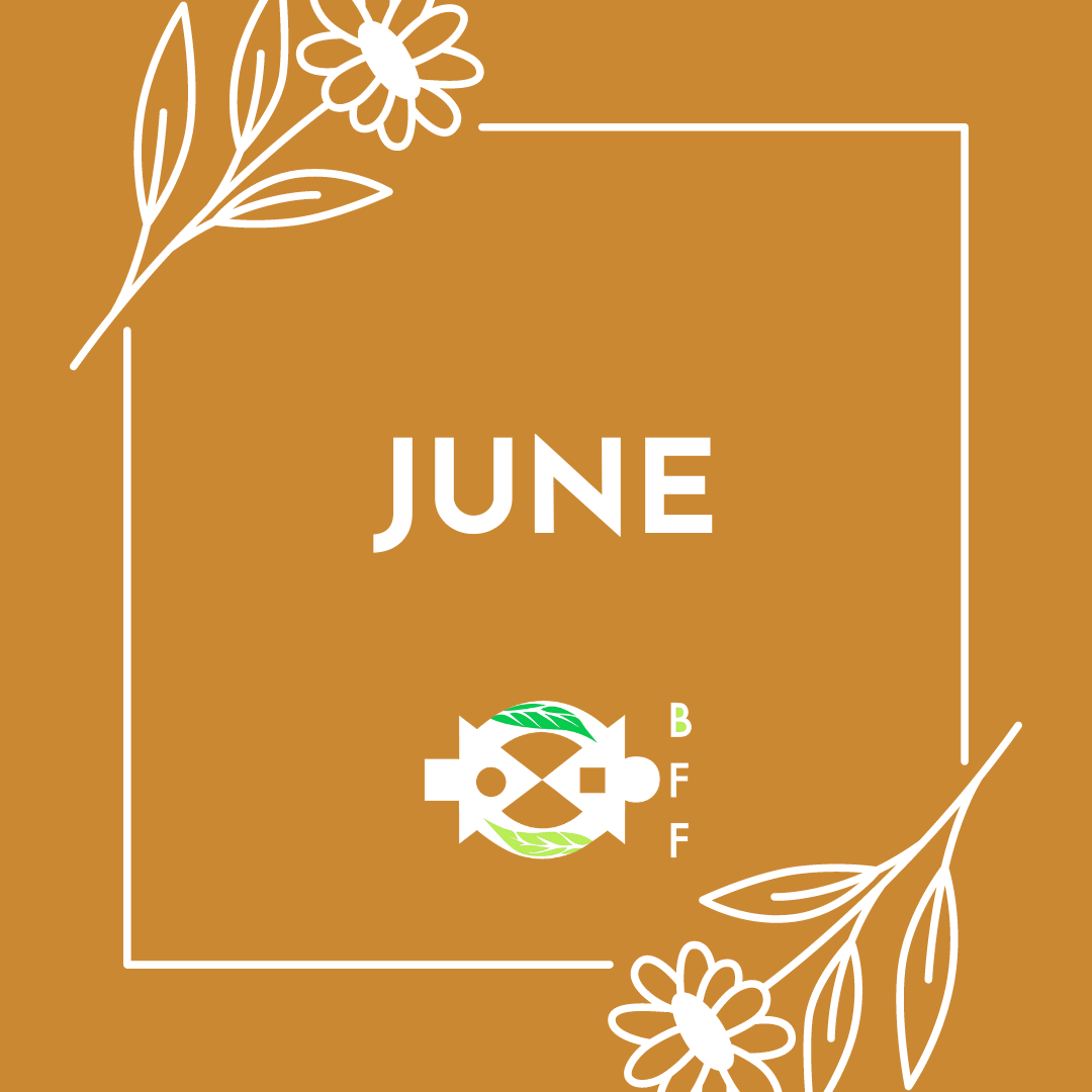 June 2024 Newsletter