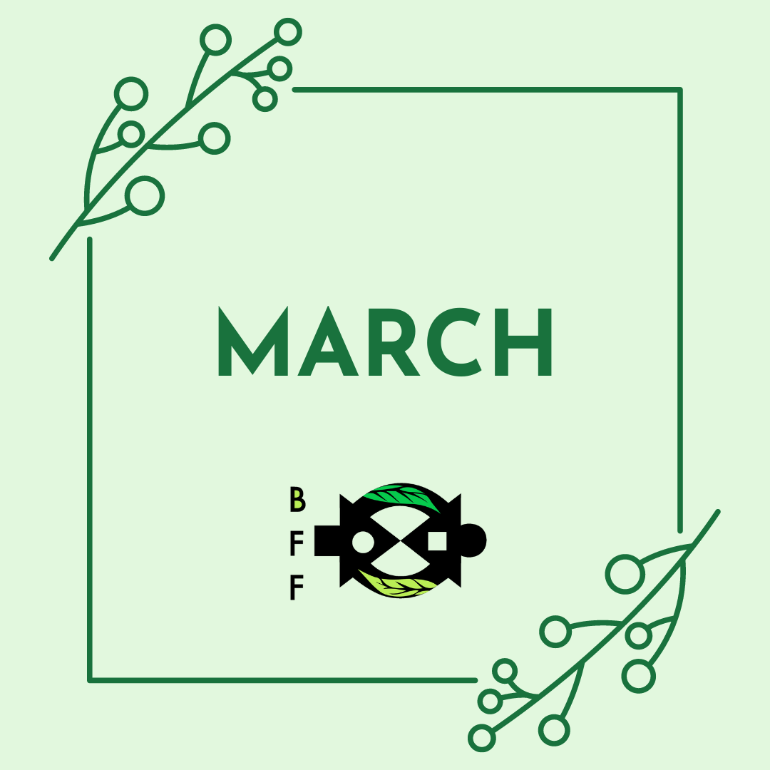 March 2024 Newsletter