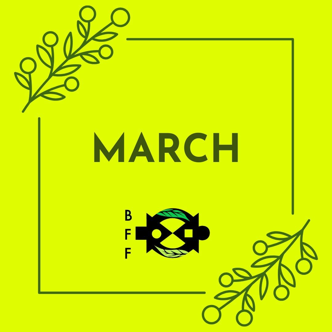 March 2026 Newsletter