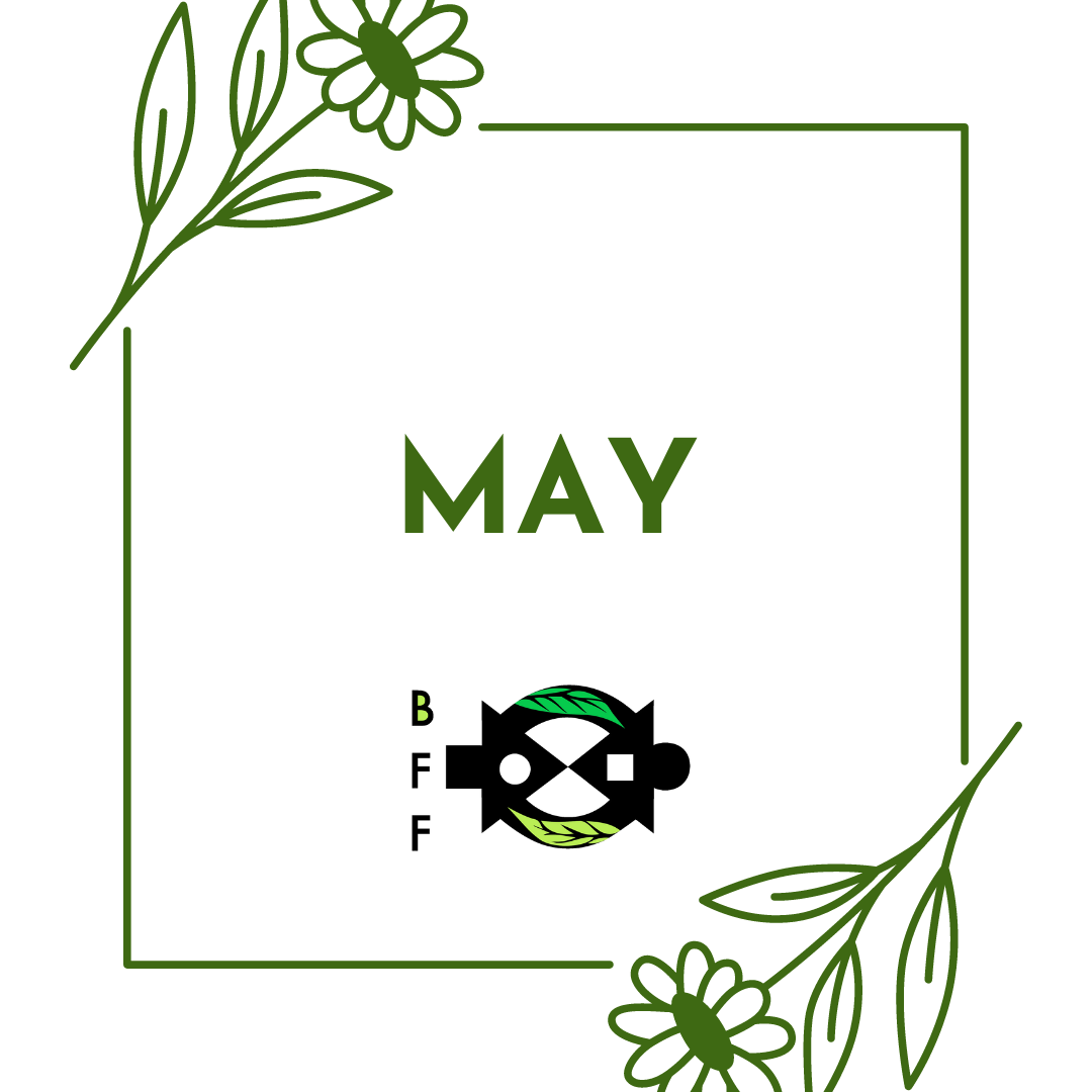 May 2024 Newsletter