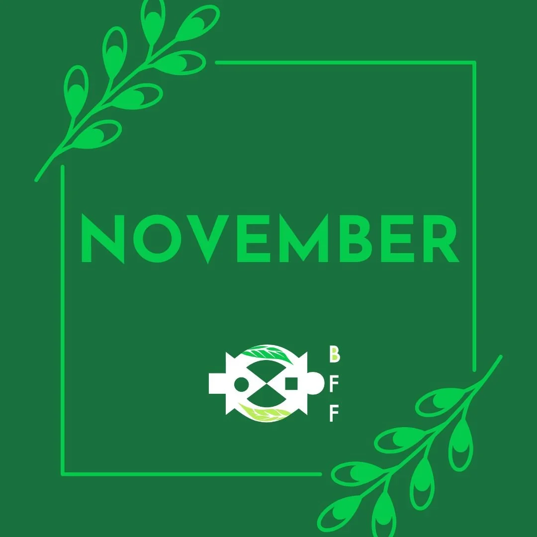 November 2024 Newsletter