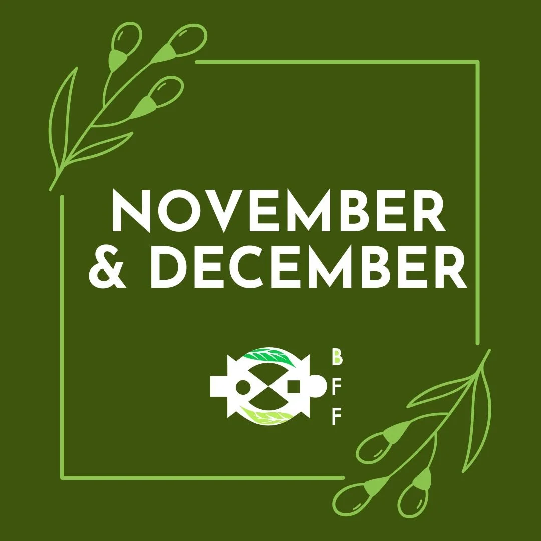 November &amp; December 2025 Newsletter