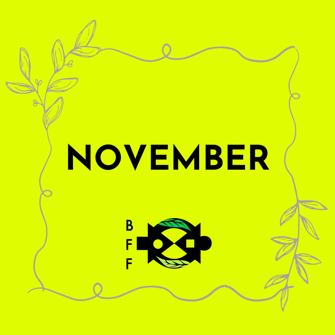 November 2022 Newsletter