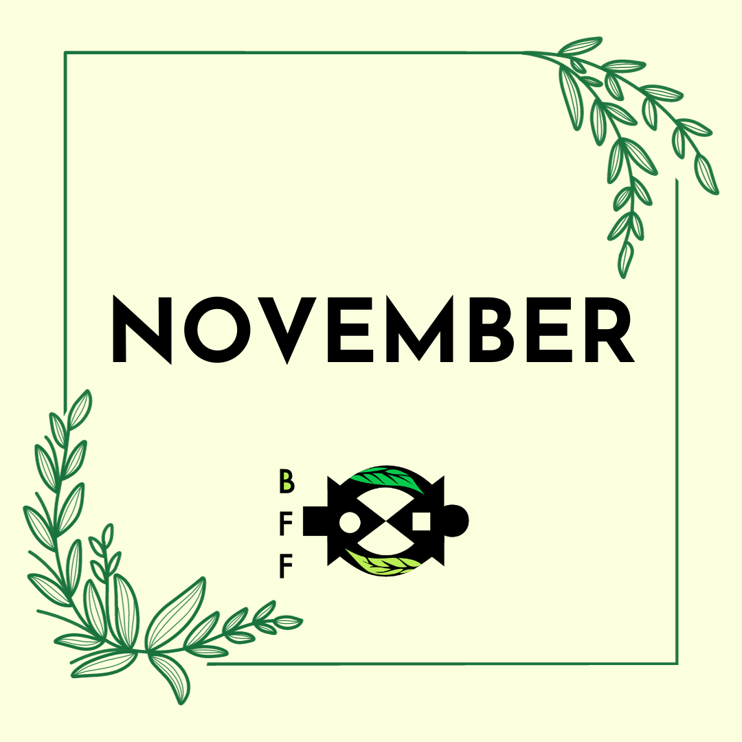 November 2023 Newsletter