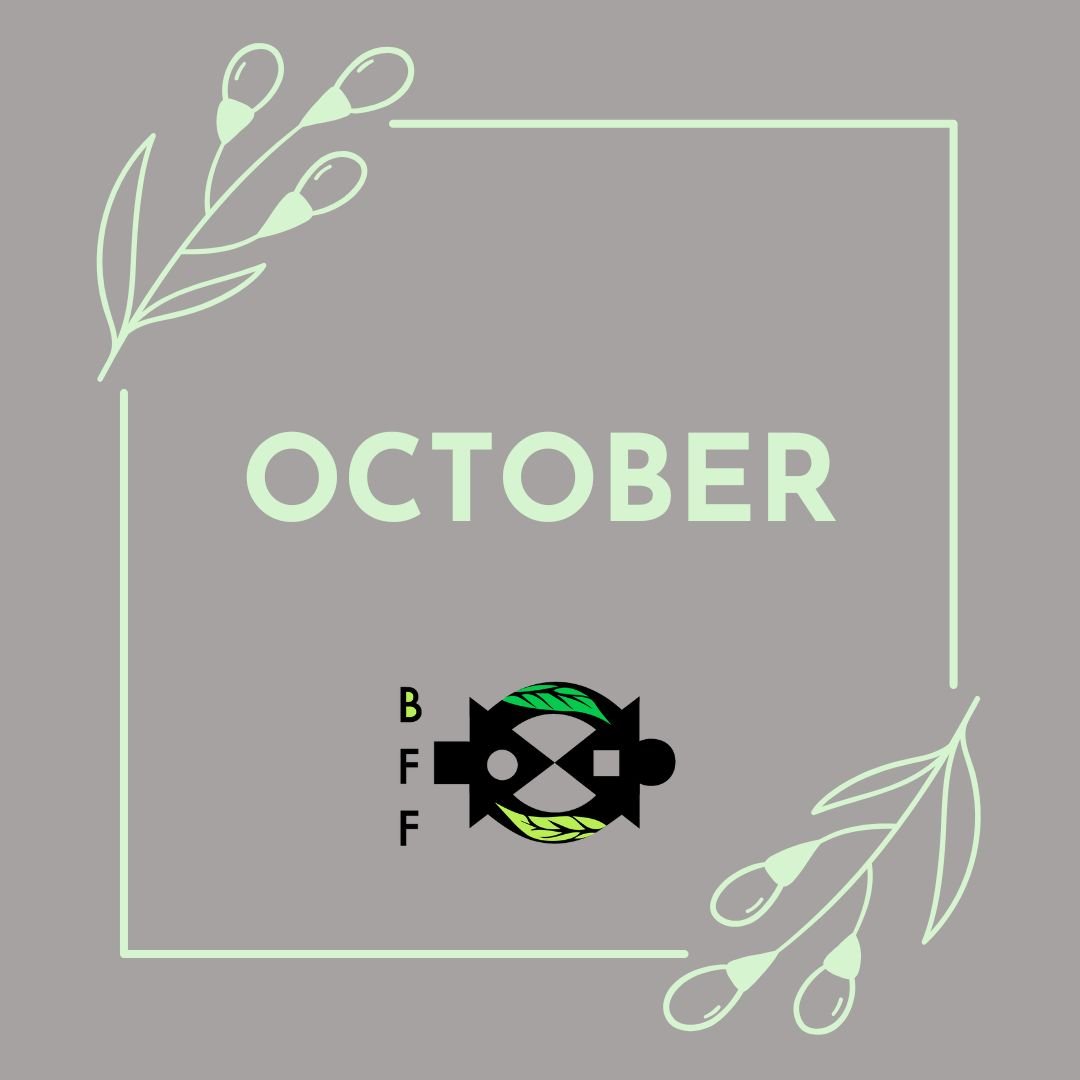 October 2025 Newsletter