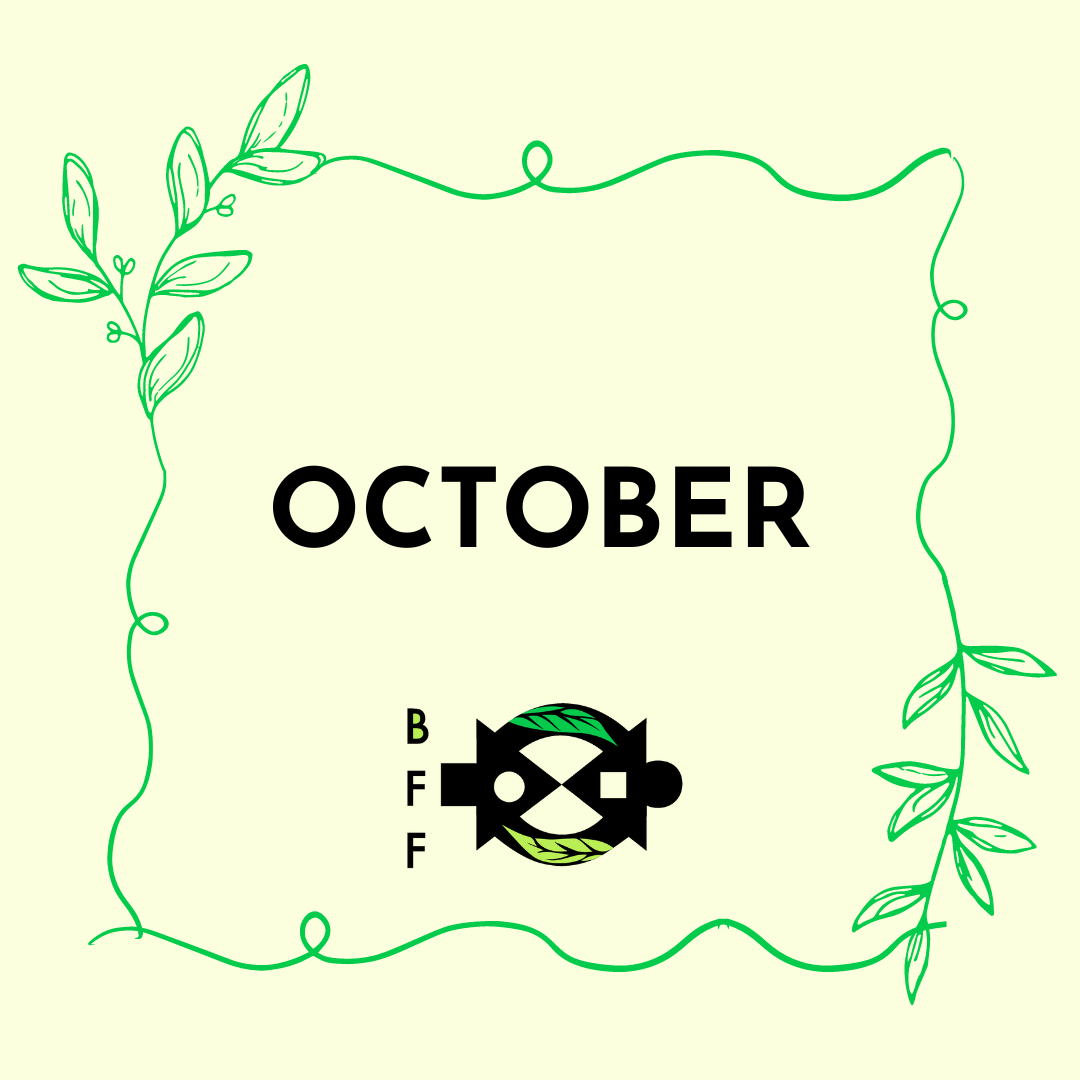 October 2022 Newsletter