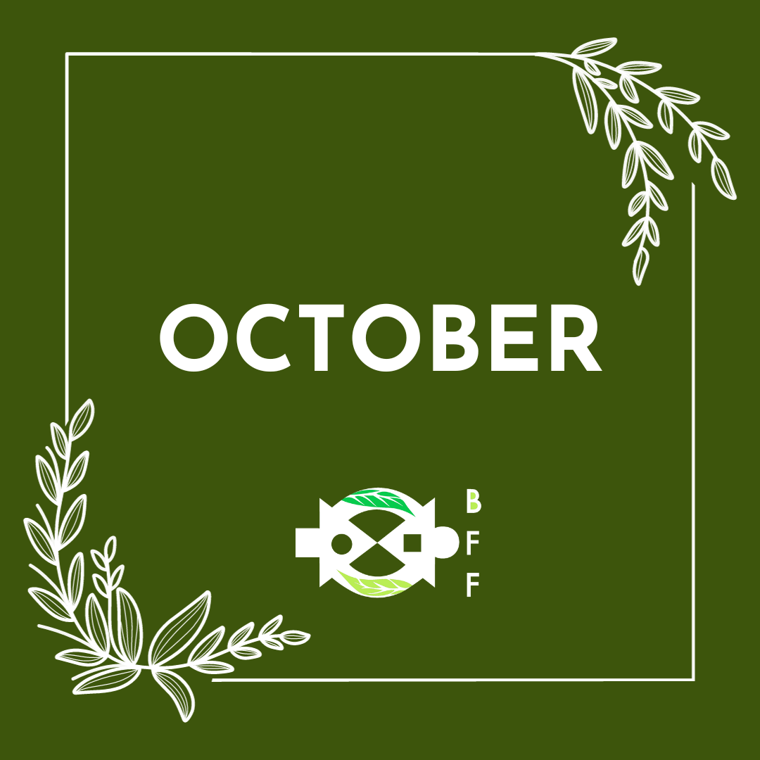 October 2023 Newsletter