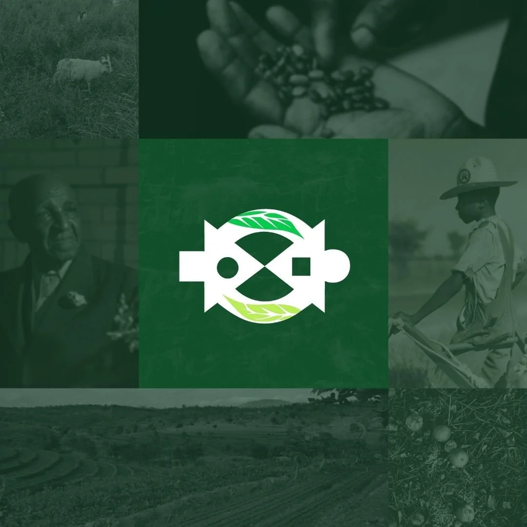 Five Ecological Practices Black Farmers Have Used In The Past &amp; Present