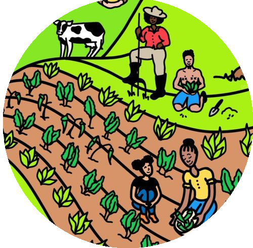 On Afro-Indigenous Solidarity