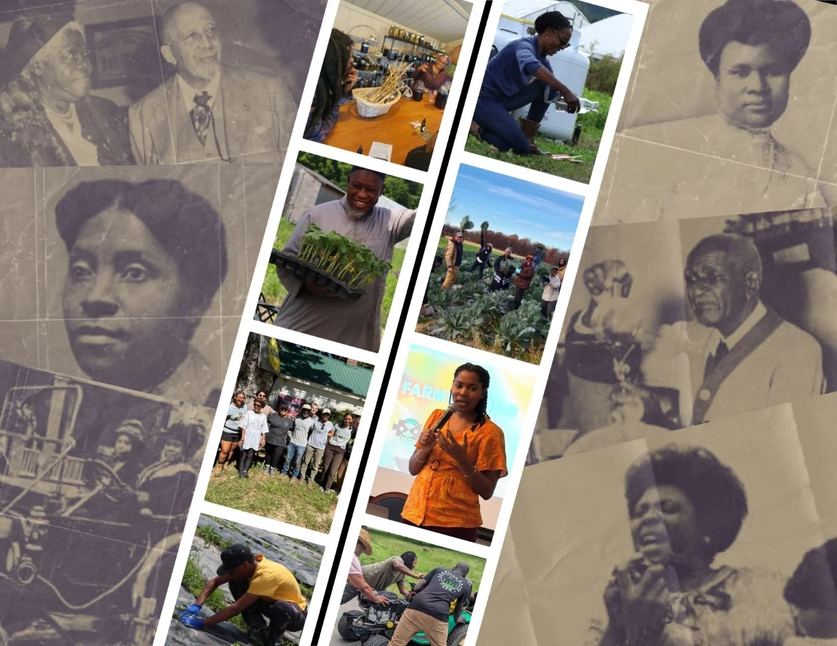 Sankofa: Five Ancestors Guiding Our Path to Food Sovereignty 