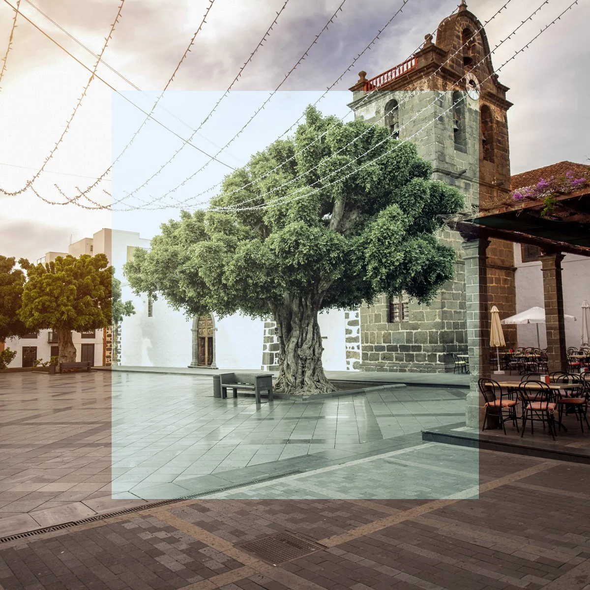 Town squares with a large tree in the center