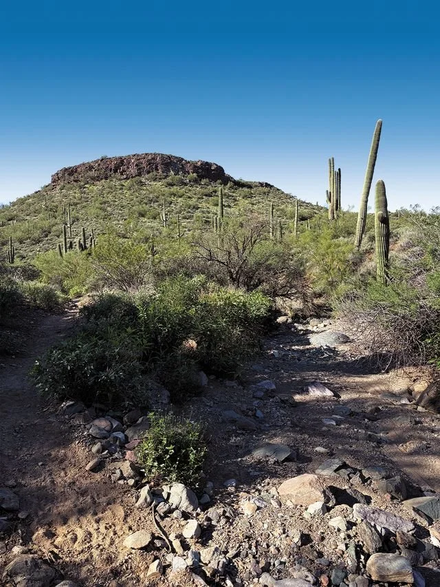 cavecreek3.jpeg