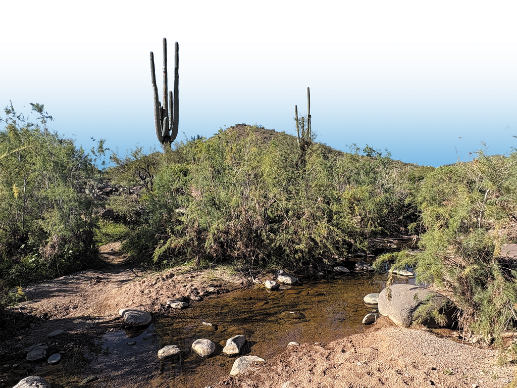 cavecreek.png