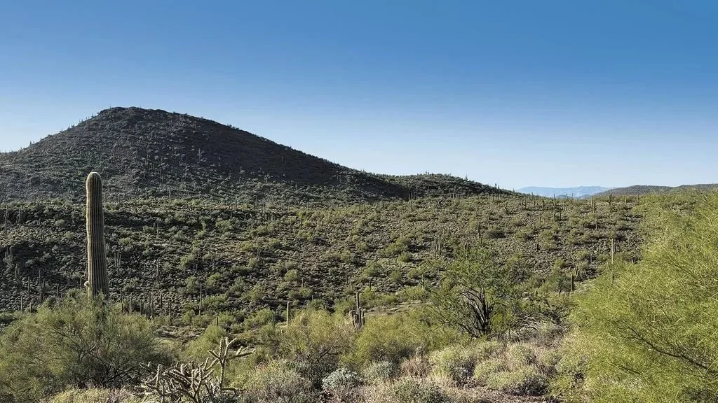 cave_creek2.jpg