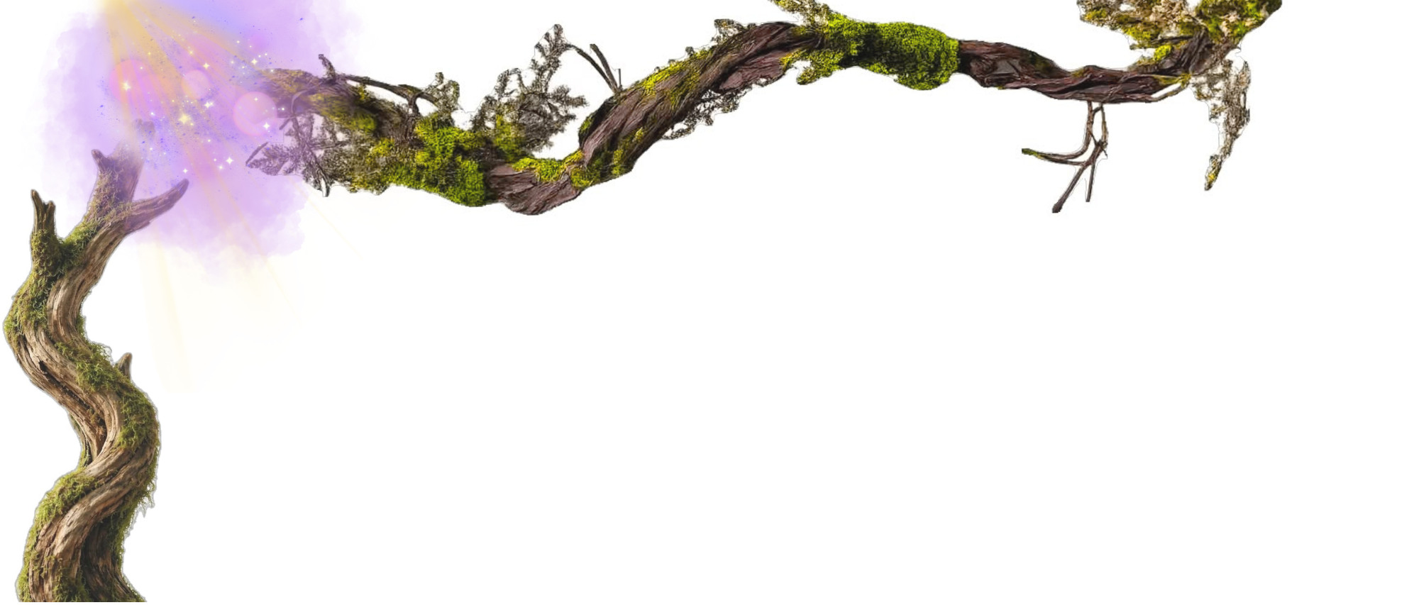 A twisted, moss-covered tree branch with light purple and yellow aura with star-like sparkles on the left side, against a white background.