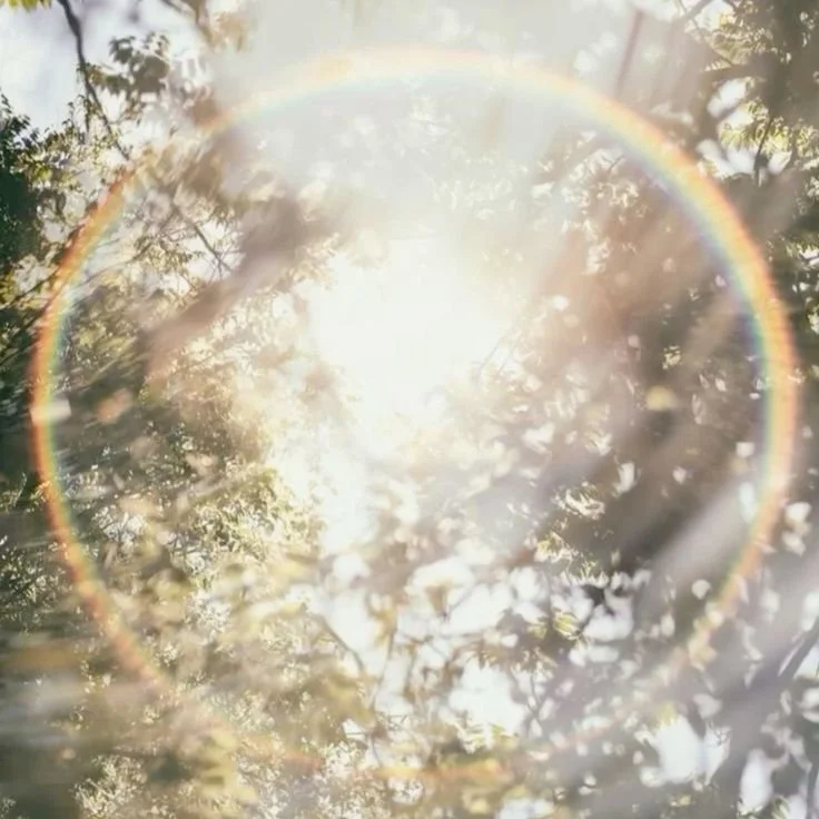 A rainbow over trees with sunlight filtering through the leaves.