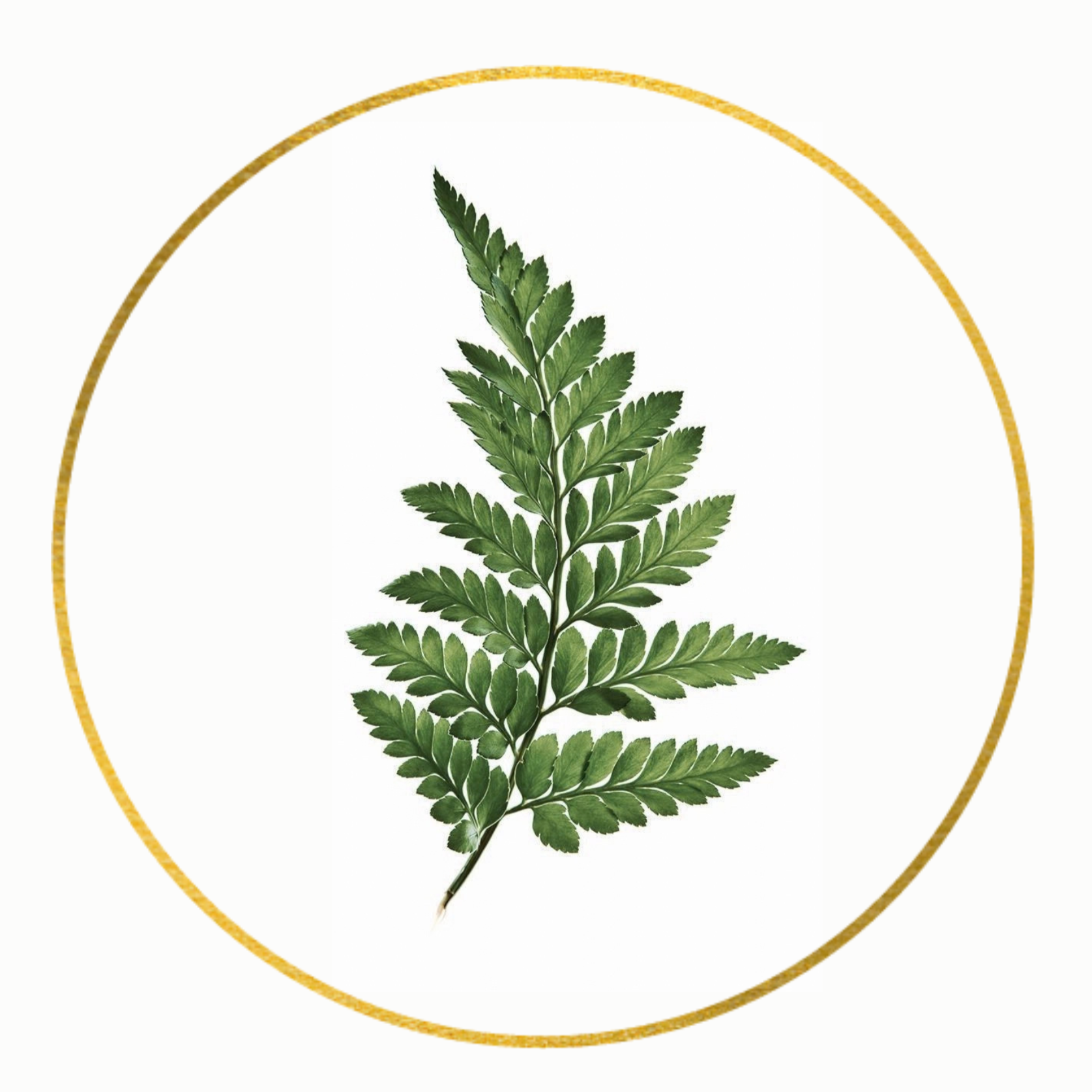 A green fern leaf with multiple leaflets on a white background, bordered by a thin gold circle.