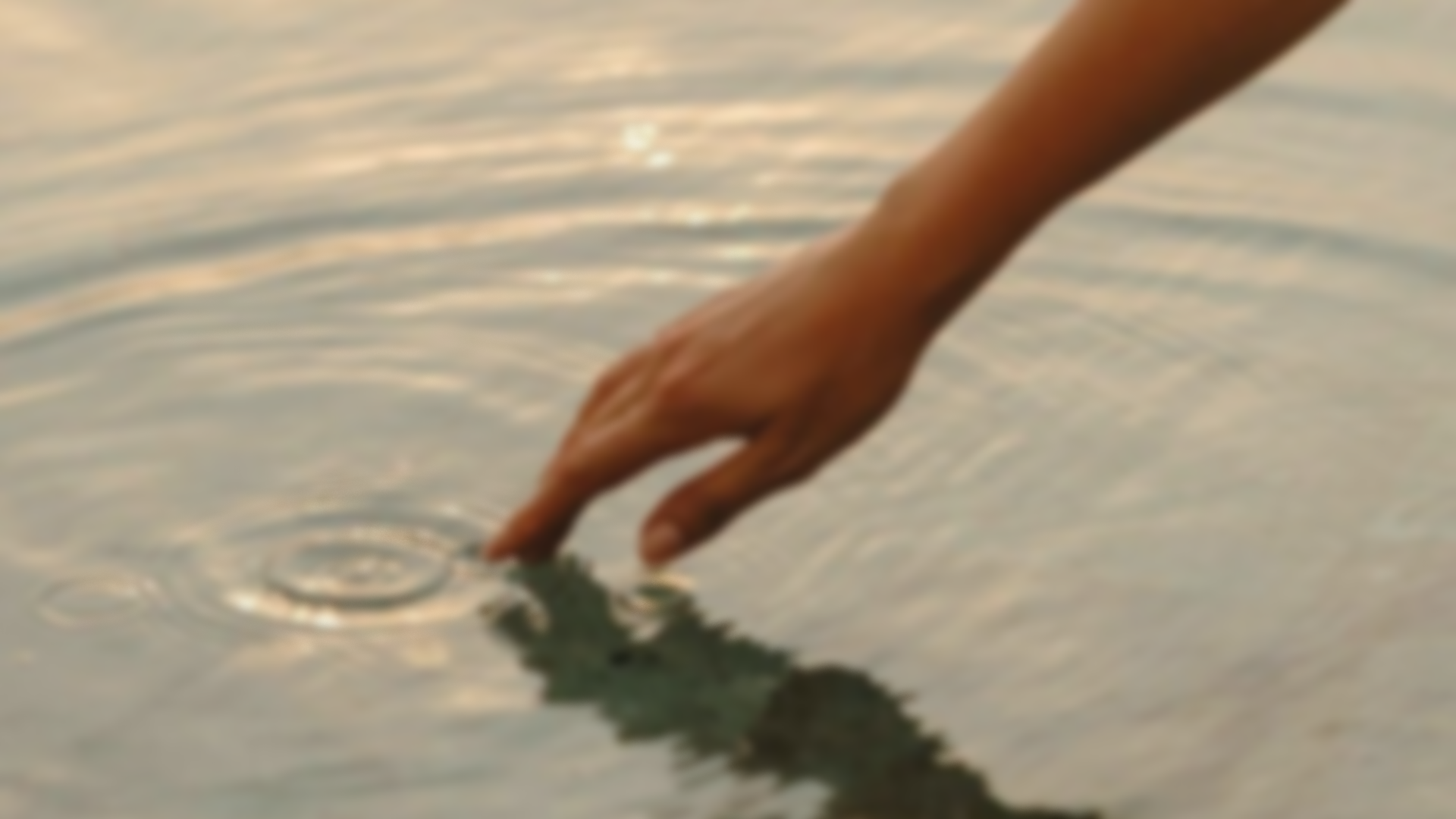 A person's hand is dipped into the water at the edge of a lake or pond, creating ripples on the surface.