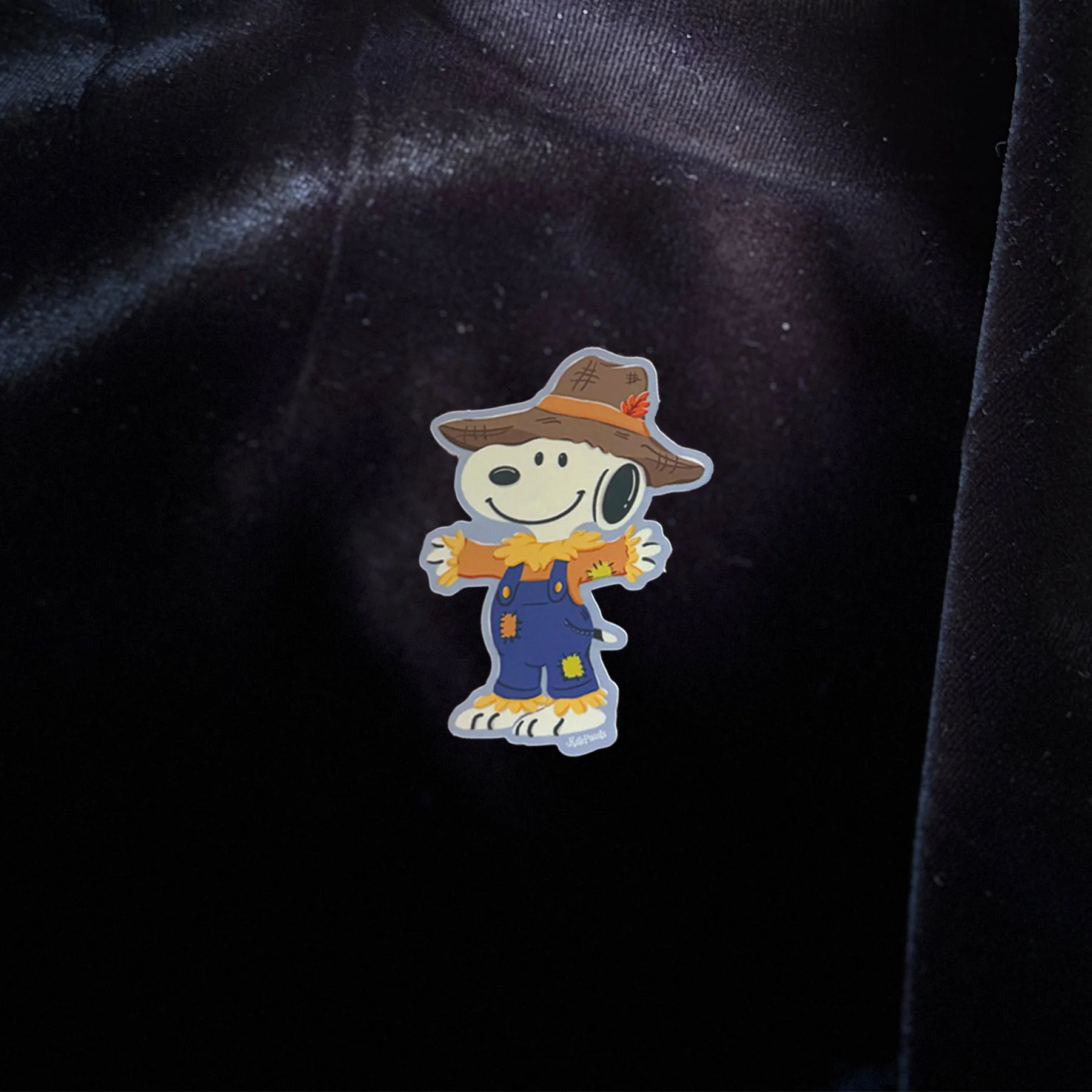 Scarecrow Snoopy Flat Lay.jpg