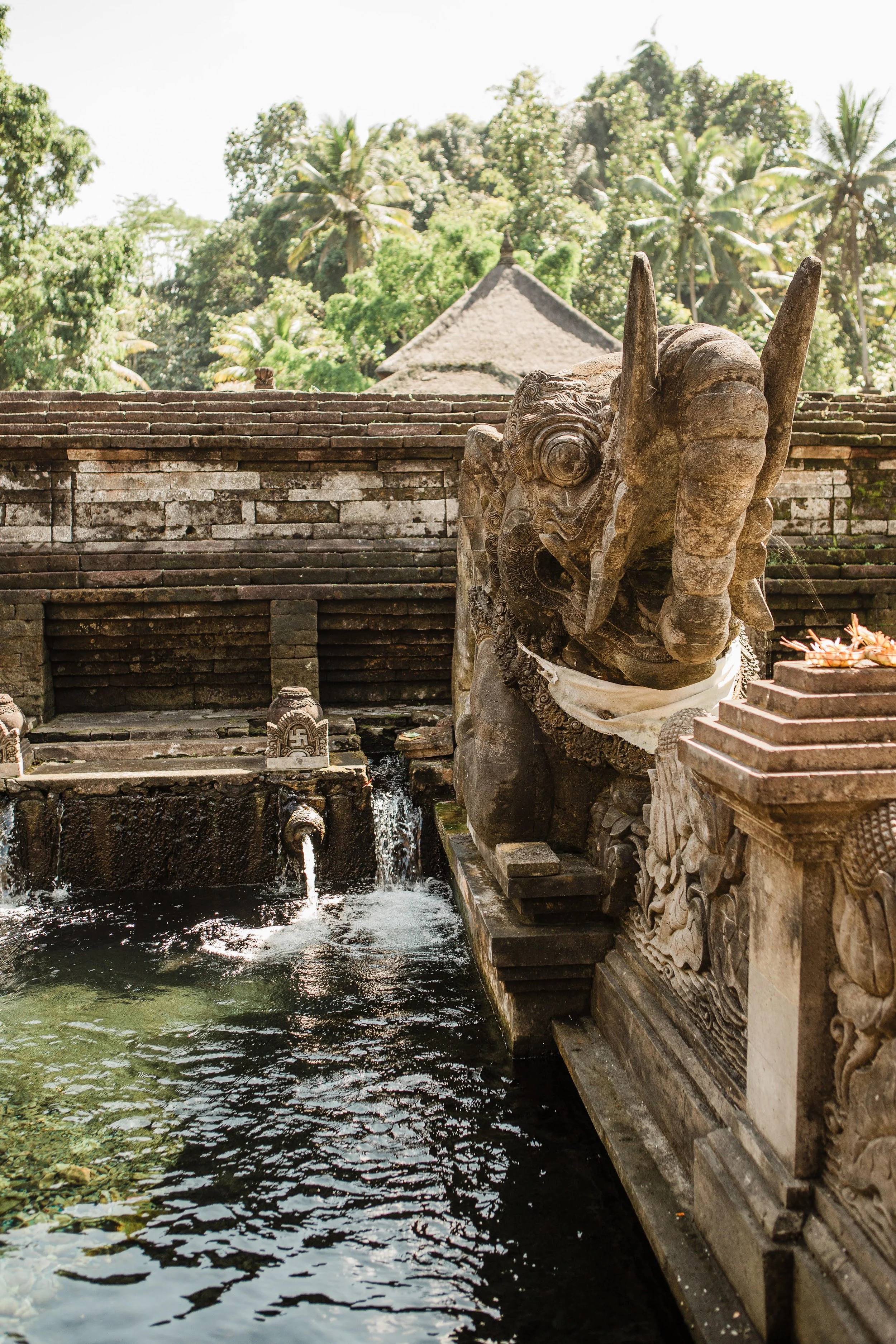 bali pic.jpg