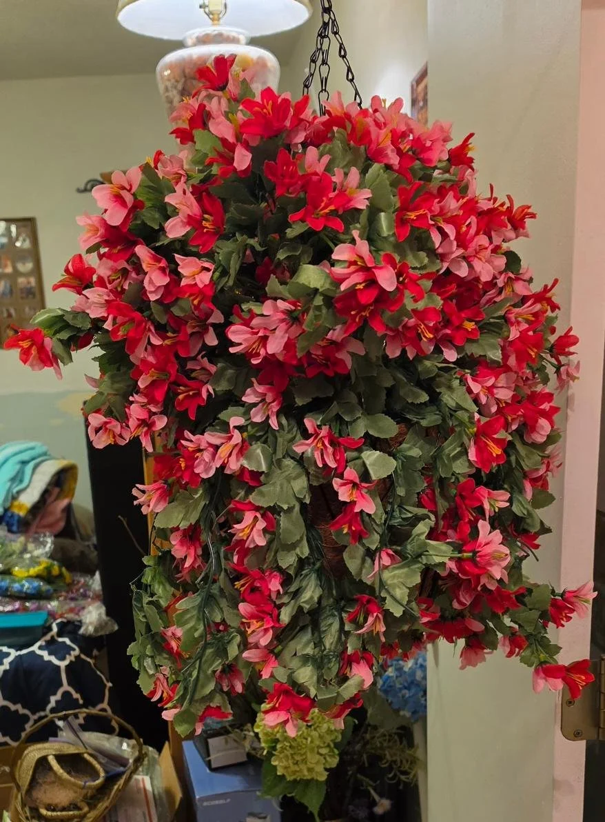 Hanging Basket