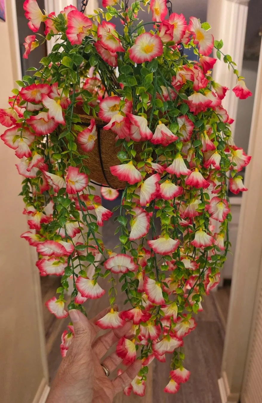 Pink & White Hanging Basket