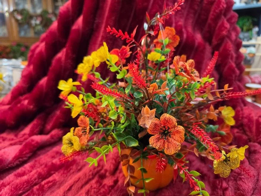 Orange Arrangement