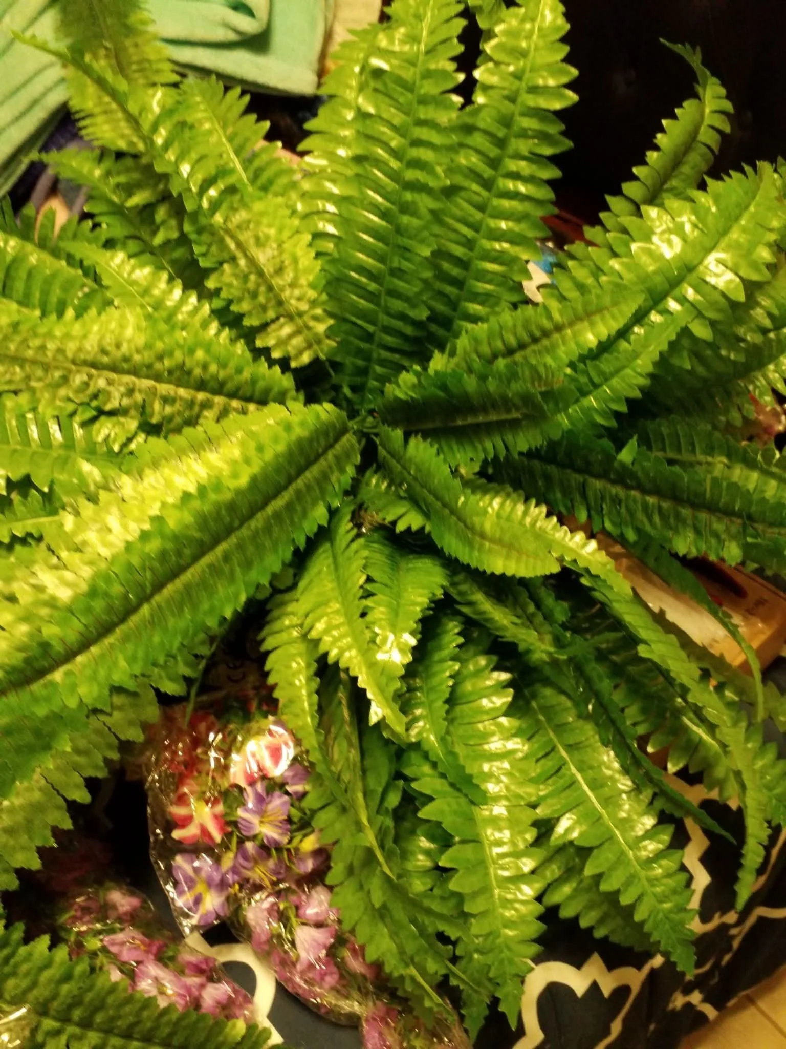 Hanging Silk Boston Fern Basket