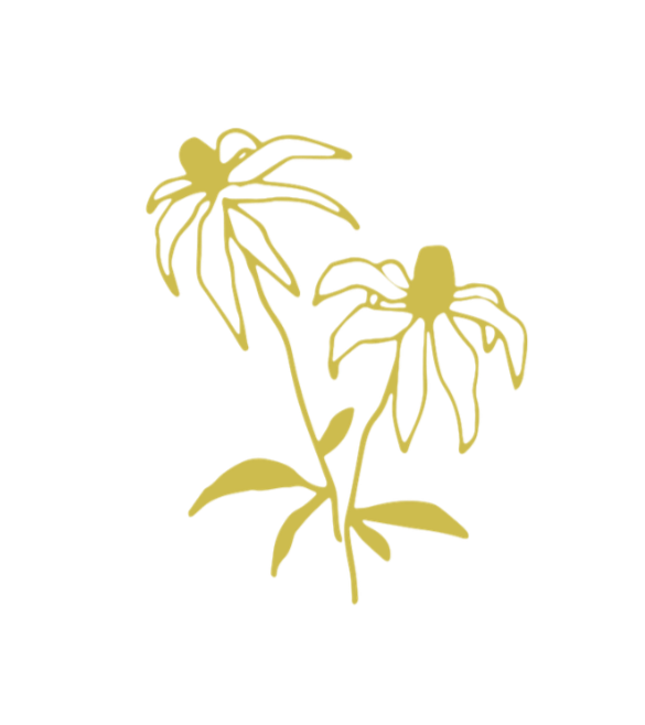 Gold outline drawing of two flowers with leaves on a black background.