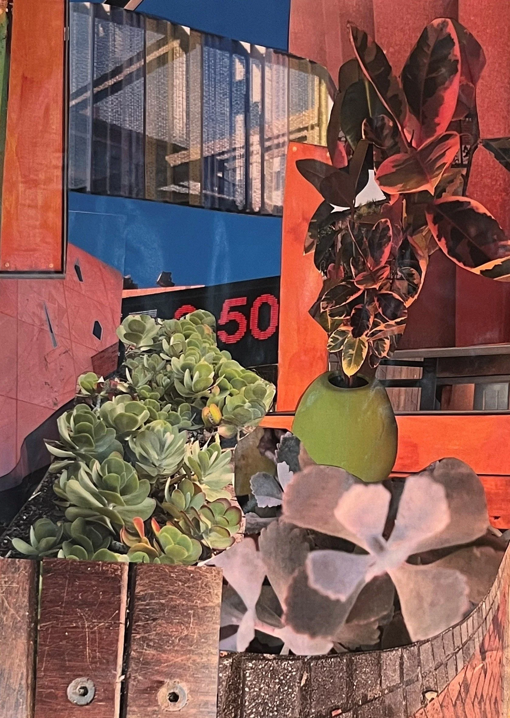 Curtin garden.  Collaged photos.jpg