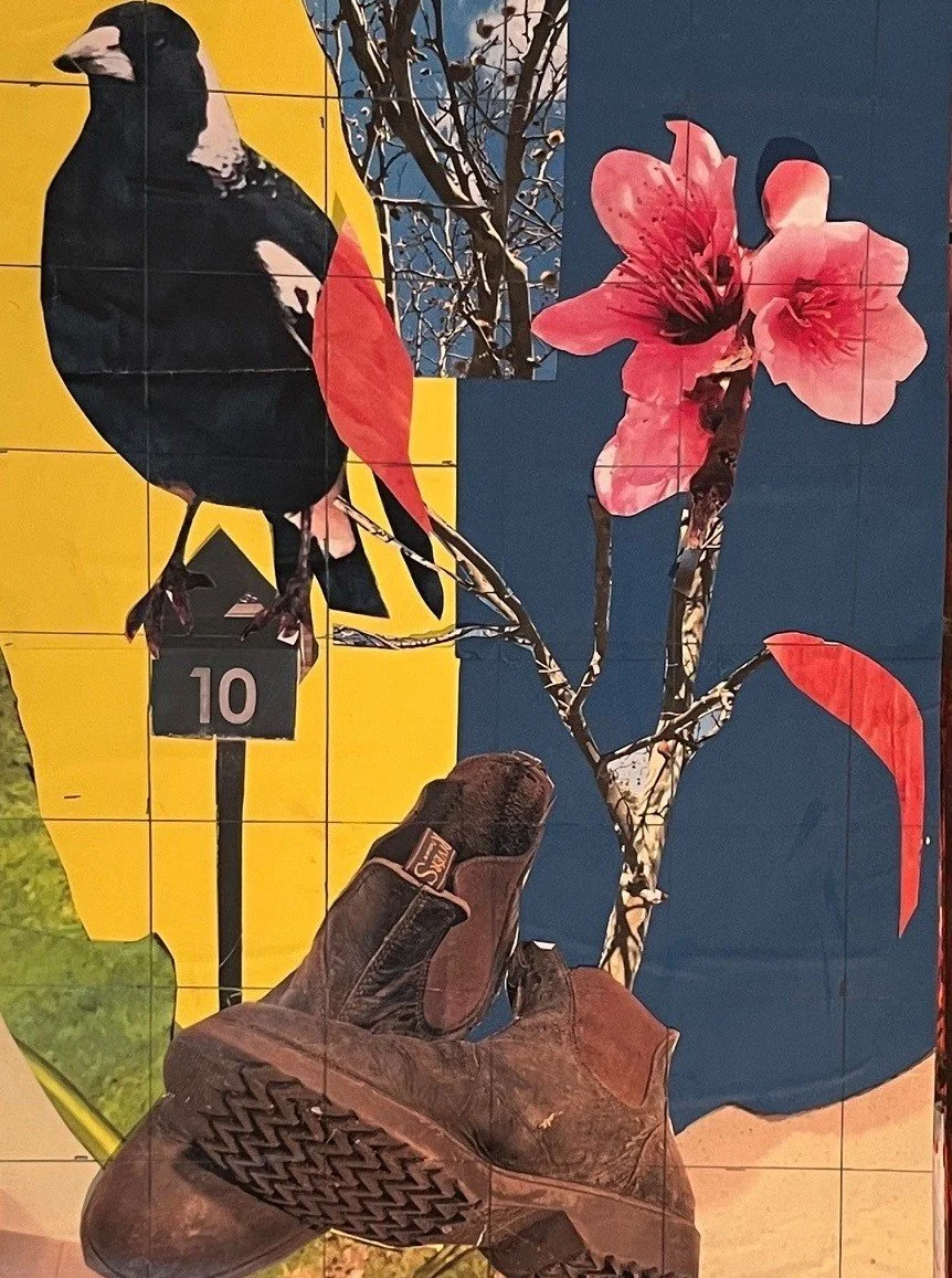 Magpie on letter box. Collage.jpg
