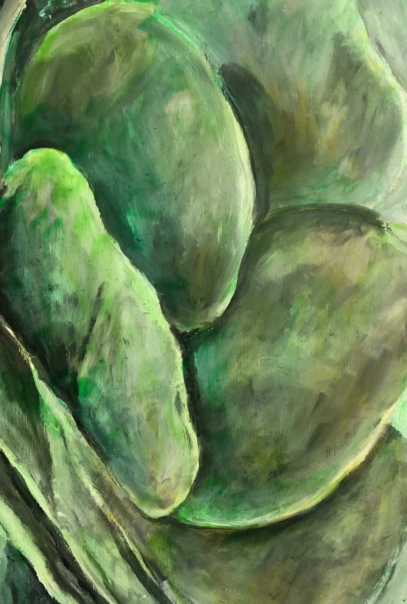 Succulent leaves.jpg