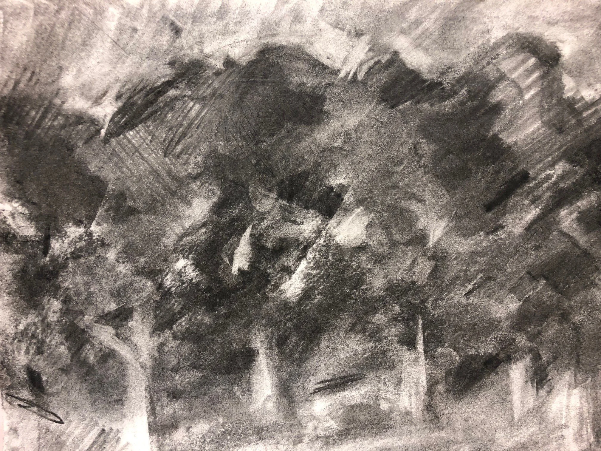 Trees.jpg