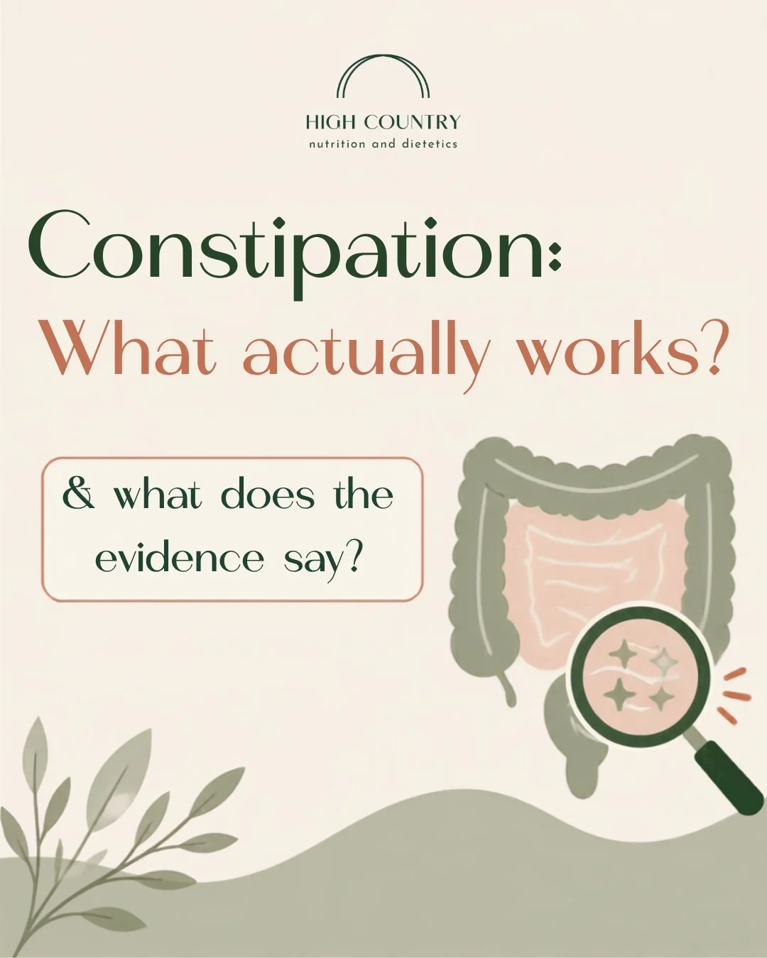 Let's talk about constipation.

Just eat more fibre&rdquo;is probably one of the most common pieces of advice, but the latest evidence tells us the story is a little more complicated.

New dietary guidelines specifically focused on chronic constipati