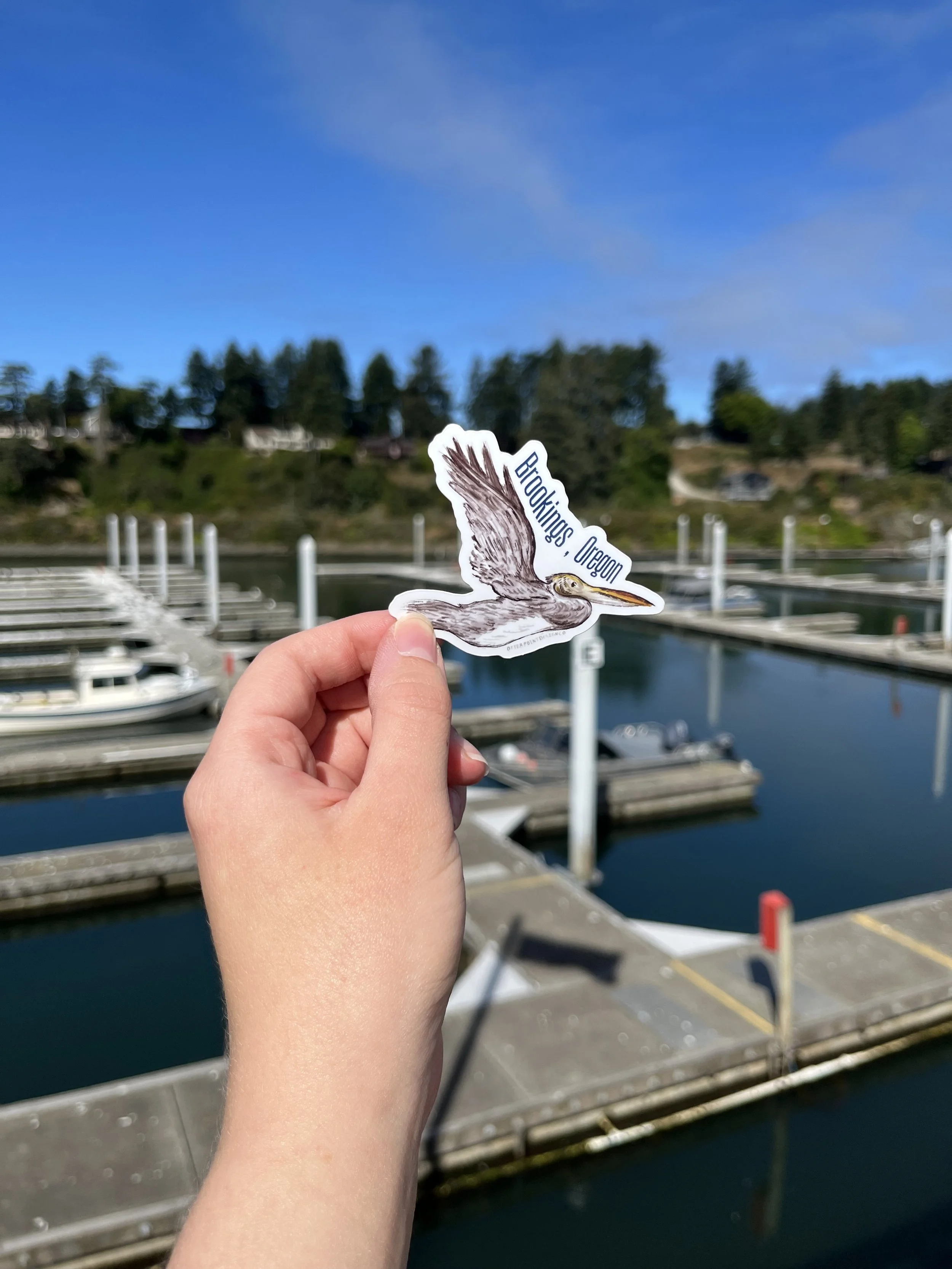Brookings, OR Brown Pelican Sticker