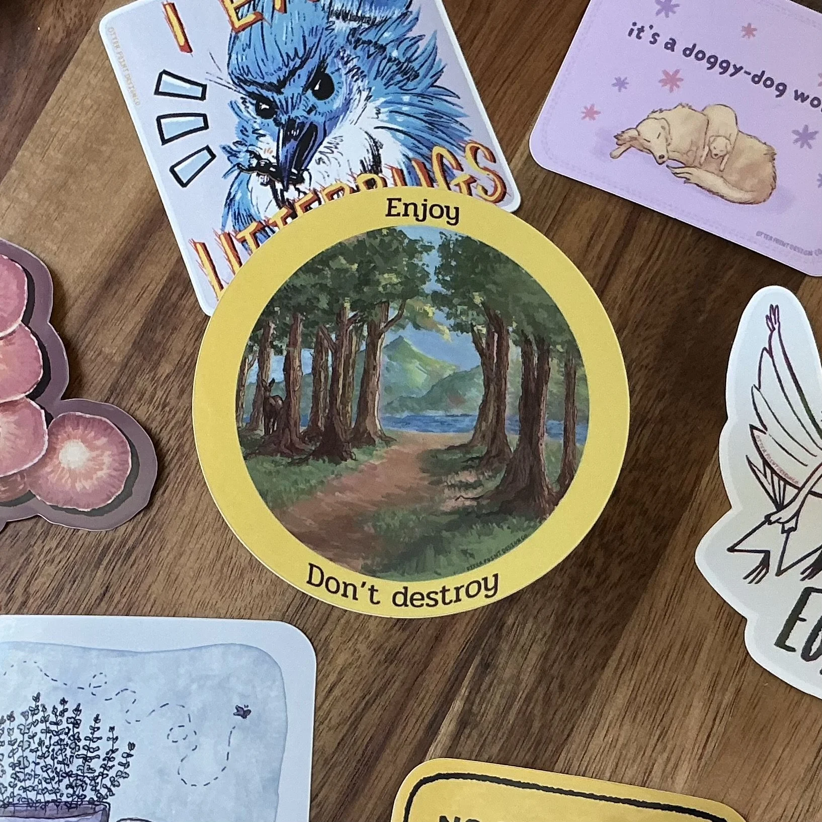 Enjoy Don’t Destroy Sticker