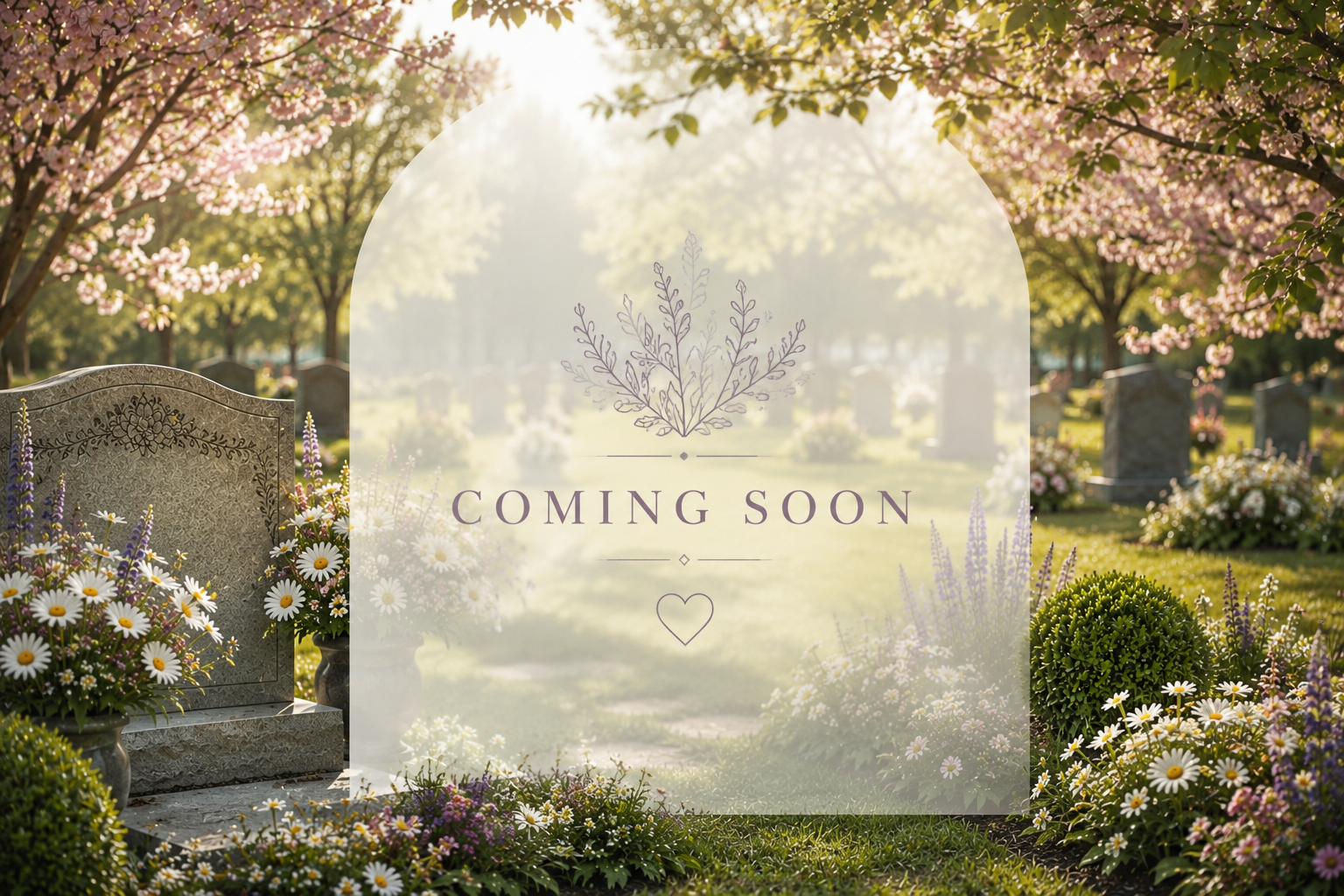 Image coming soon