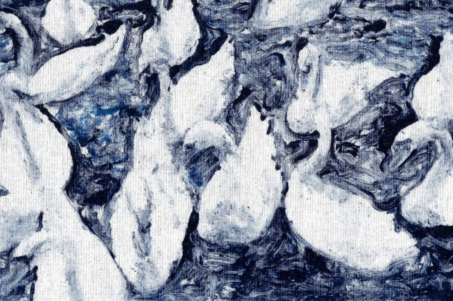 swans