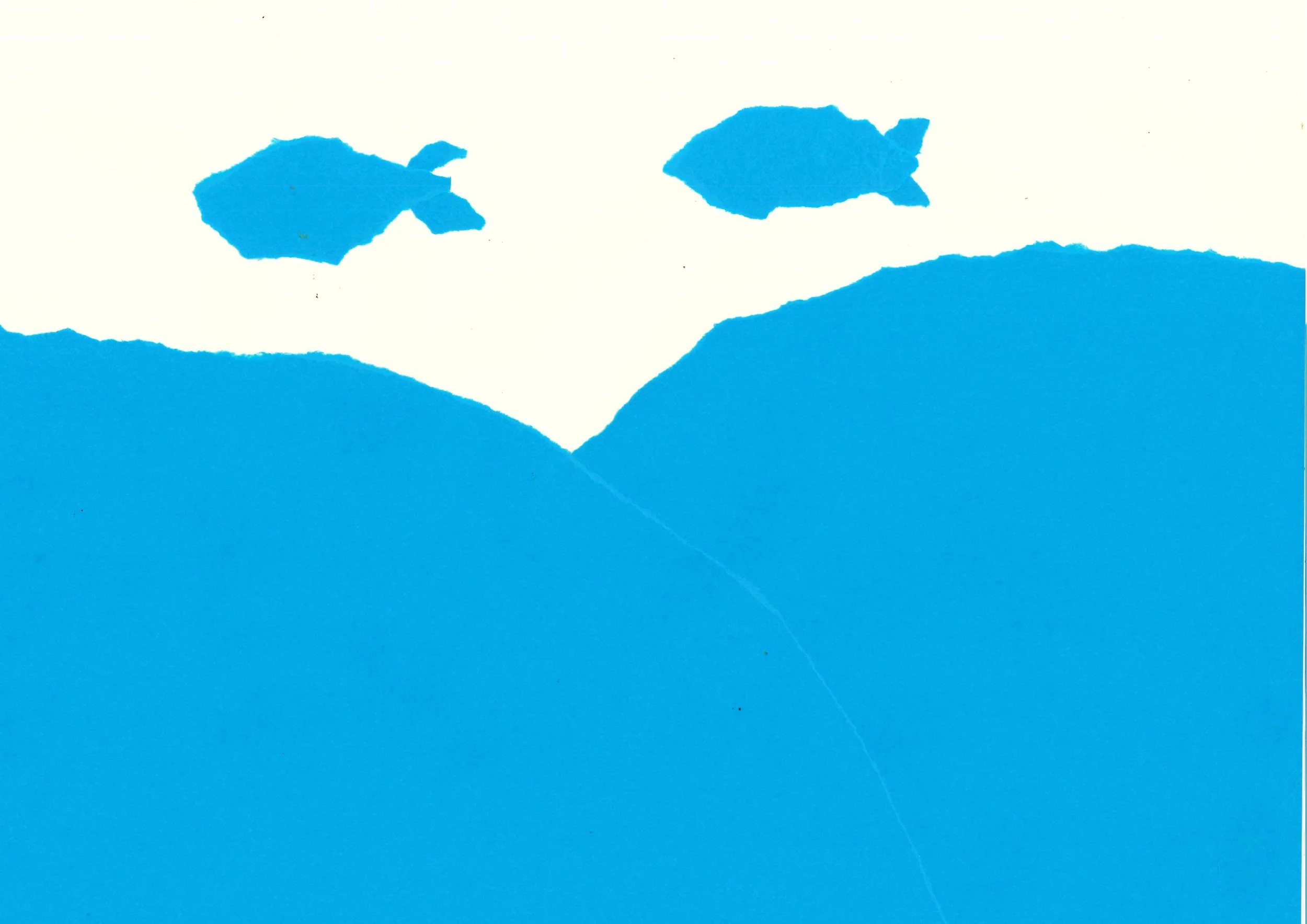 flying fish I