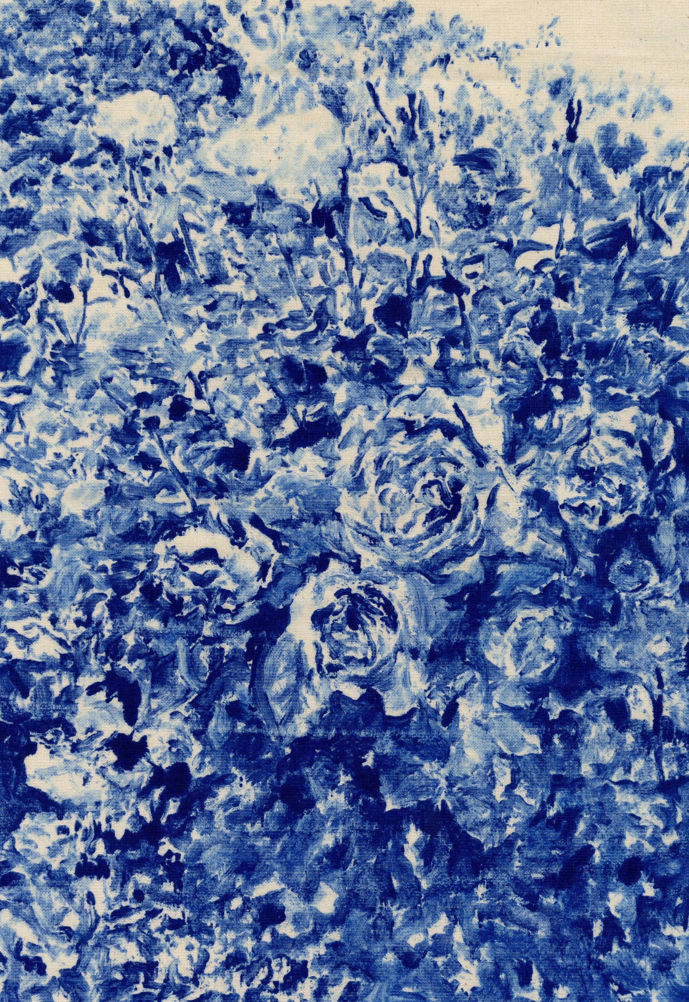 rose bush