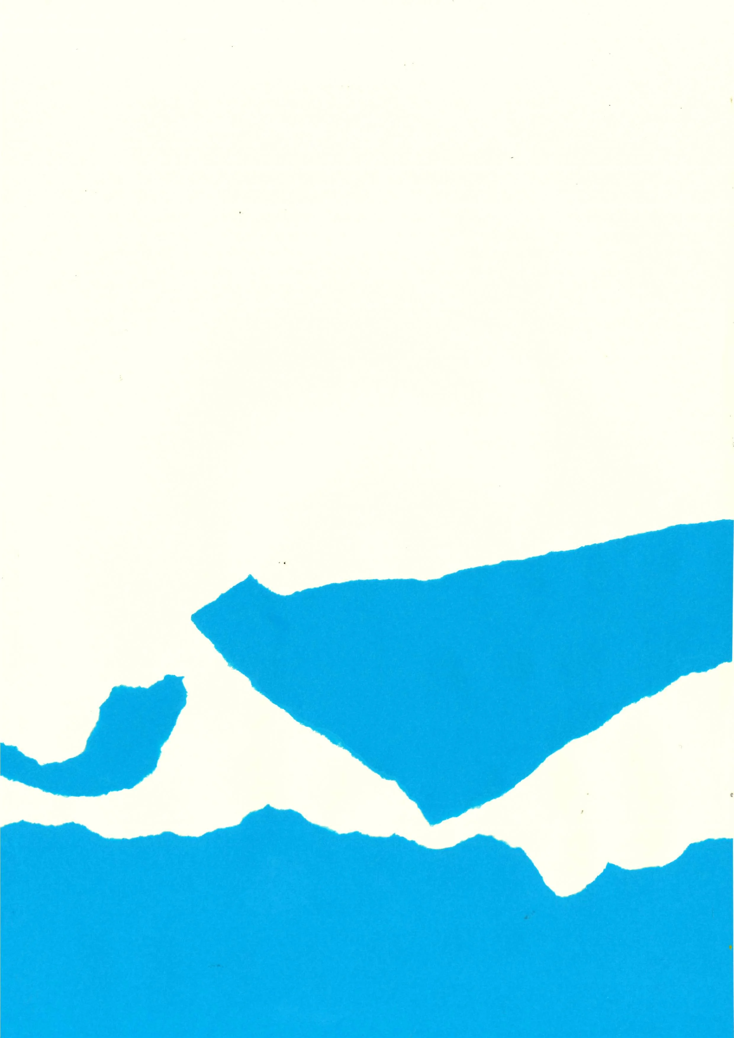 flying fish III